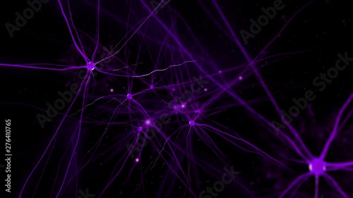 Neurons and nervous system. Synaptic transmission.