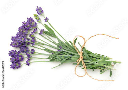 Lavender Flowers Bunch Isolated On White Background