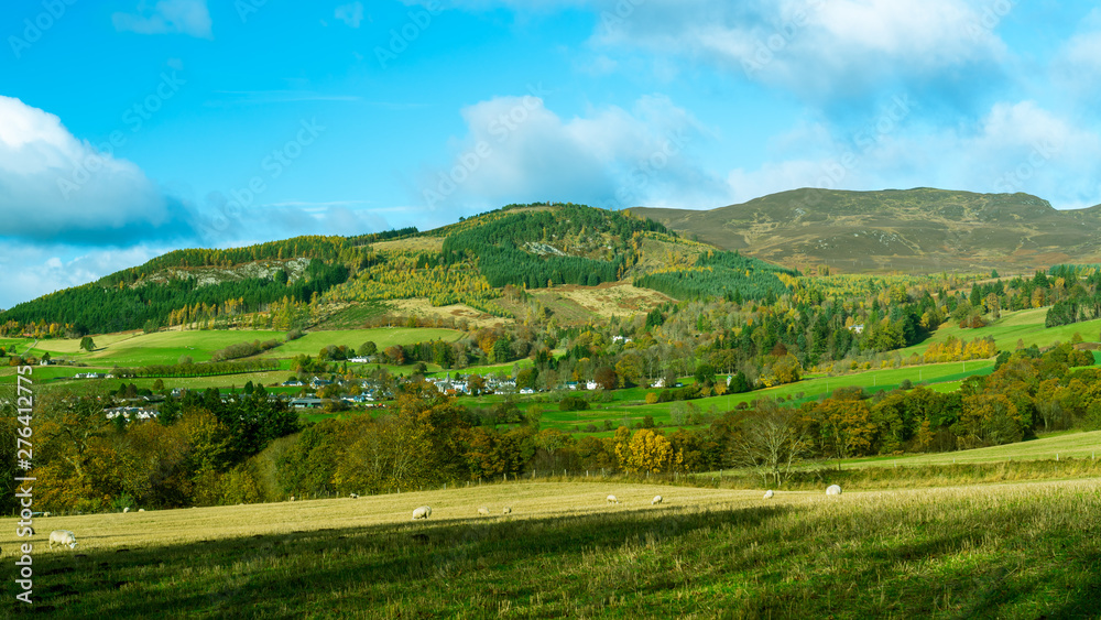 Sheep grazing in the fields with Ben Vrackie in the background, Perthshire, Scotland in late Autumn, outside of Pitlochry