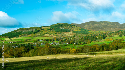 Sheep grazing in the fields with Ben Vrackie in the background  Perthshire  Scotland in late Autumn  outside of Pitlochry