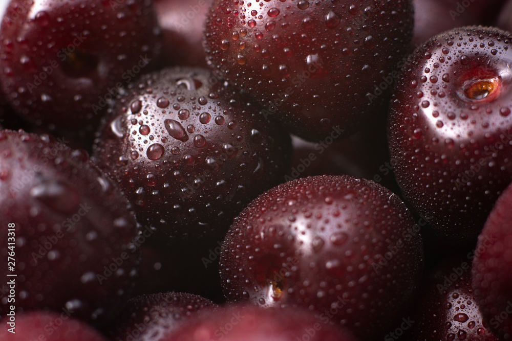 Cherry . Close up of fresh cherry berries with water drops. Cherry . Close up of fresh cherry berries with water drops.
