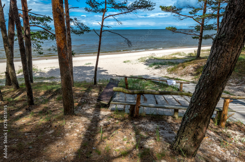 Pine forest, wooden footpath and a shore of the Baltic Sea, concept of clean and ecologically friendly tourism in Europe Pine forest, wooden footpath and a shore of the Baltic Sea, concept of clean and ecologically friendly tourism in Europe