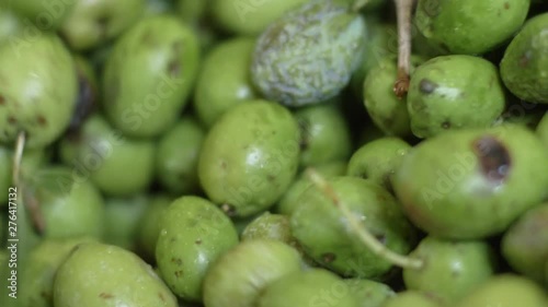 Olives moving on conveyor belt.Olive oil Mill in South of Italy. photo