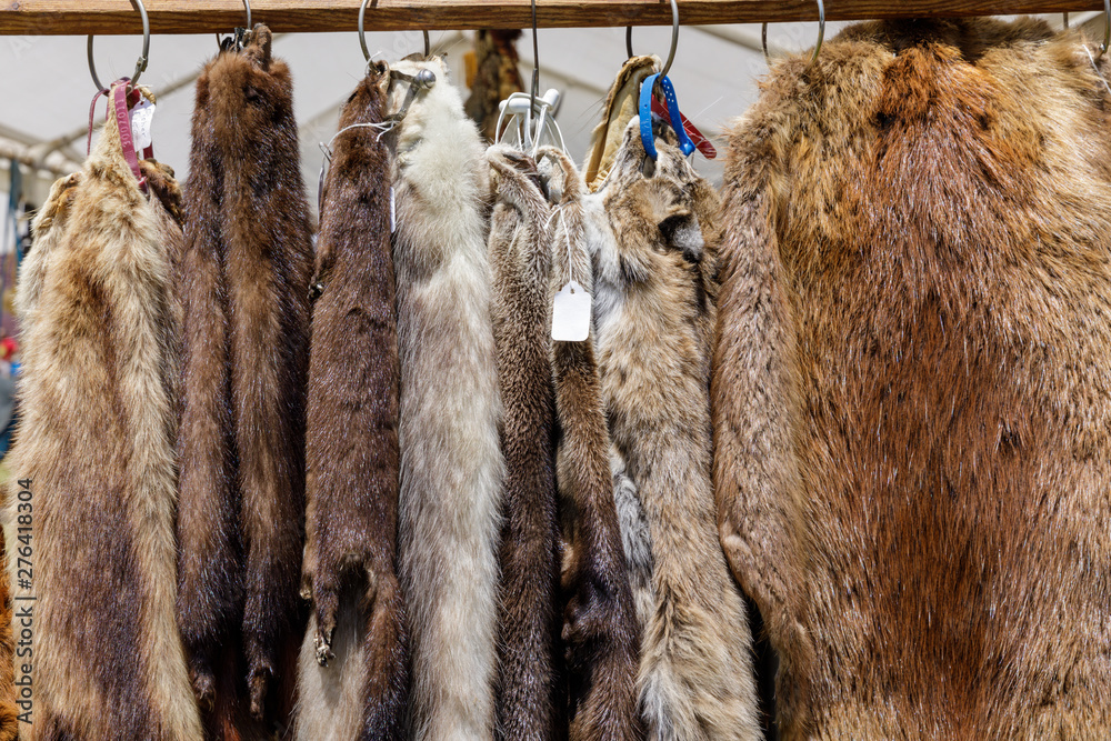 Animals Used for Fur