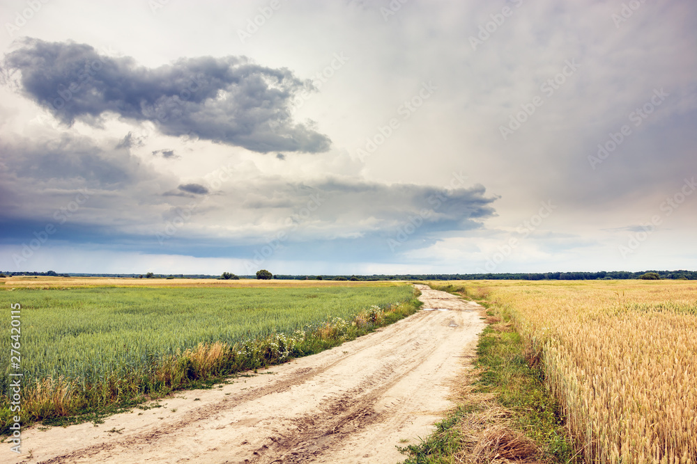Sandy road through fields and rainy cloud in the sky