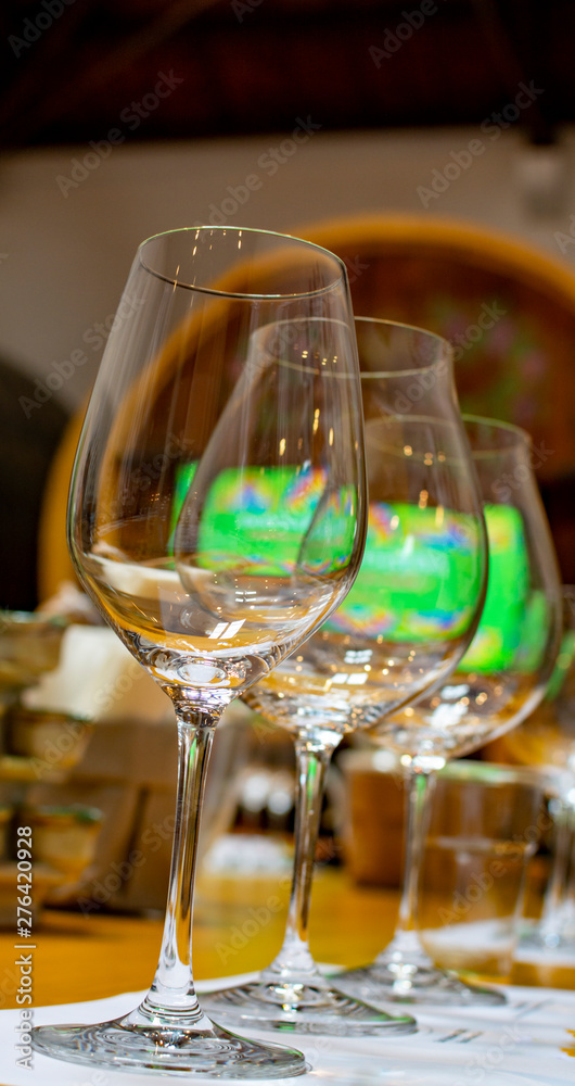 Professional wine tasting, sommelier course, clean empty wine glasses for different wines Professional wine tasting, sommelier course, clean empty wine glasses for different wines