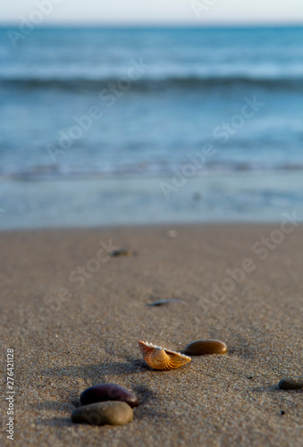 Nature background with sea coastline, sea shells and stones