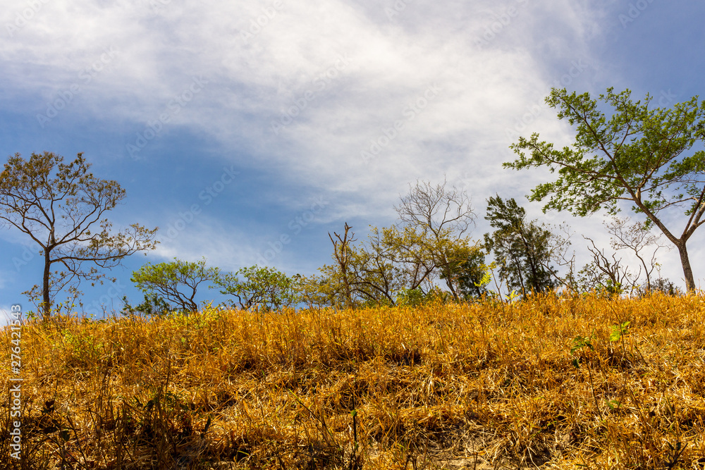 Fototapeta premium Country Side, Guanacaste, Costa Rica.