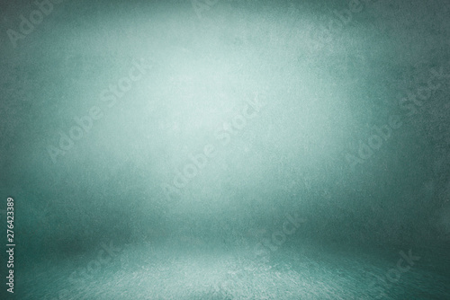 photo backdrop green, studio background for photos. Studio Portrait Backdrops Photo wall and floor lit by lamps