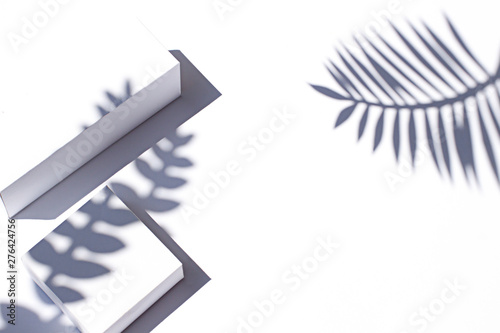 Tropical leaves shadows on the white paper background on the noon sun. Summer concept frame. Copy space