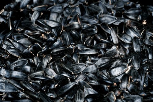 sunflower seed background close up
