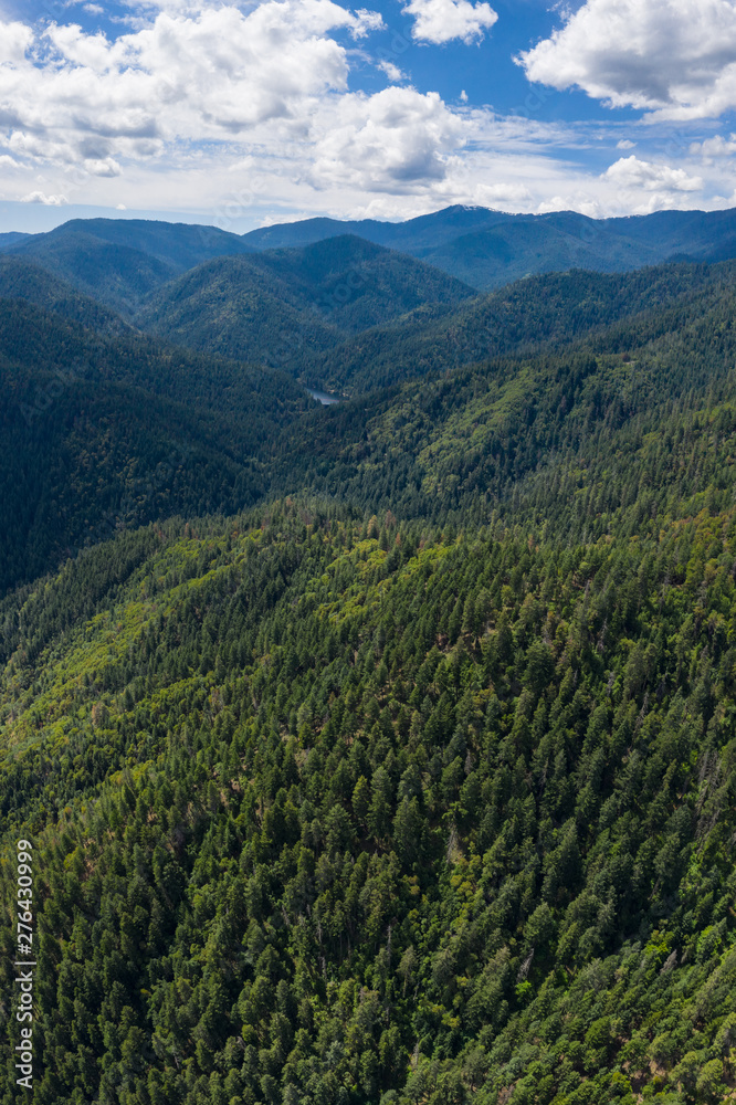 Seen from a bird's eye view, a forest covers the hills surrounding Ashland, a quaint city in southern Oregon. This area is known for mountain biking and the Oregon Shakespeare Festival.