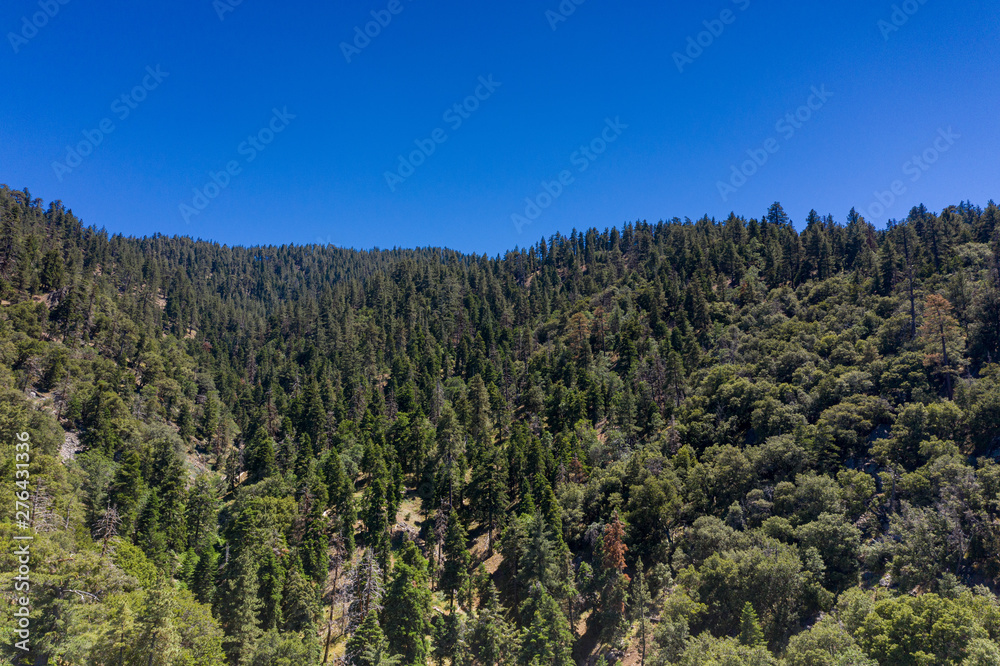 Fototapeta premium view of mountains