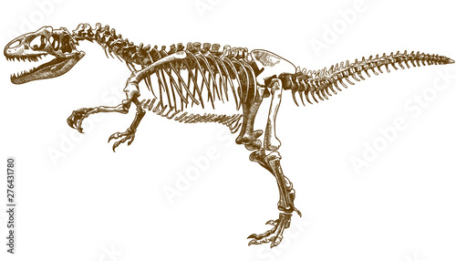 engraving illustration of tyrannosaurus skeleton