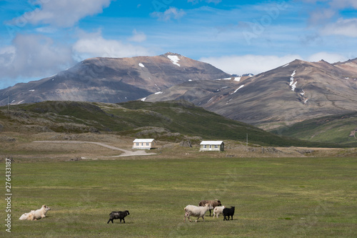 Vacation cottages in the Icelandic countryside photo