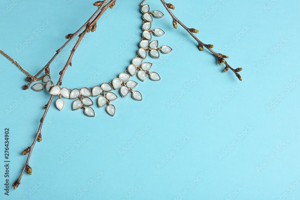 Elegant necklace and branches on light blue background, space for text. Luxury jewelry Elegant necklace and branches on light blue background, space for text. Luxury jewelry