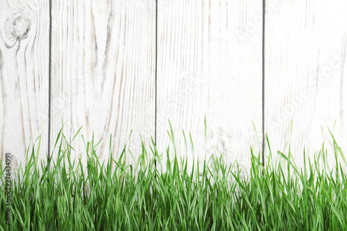 Fresh green grass near white wooden fence. Space for text