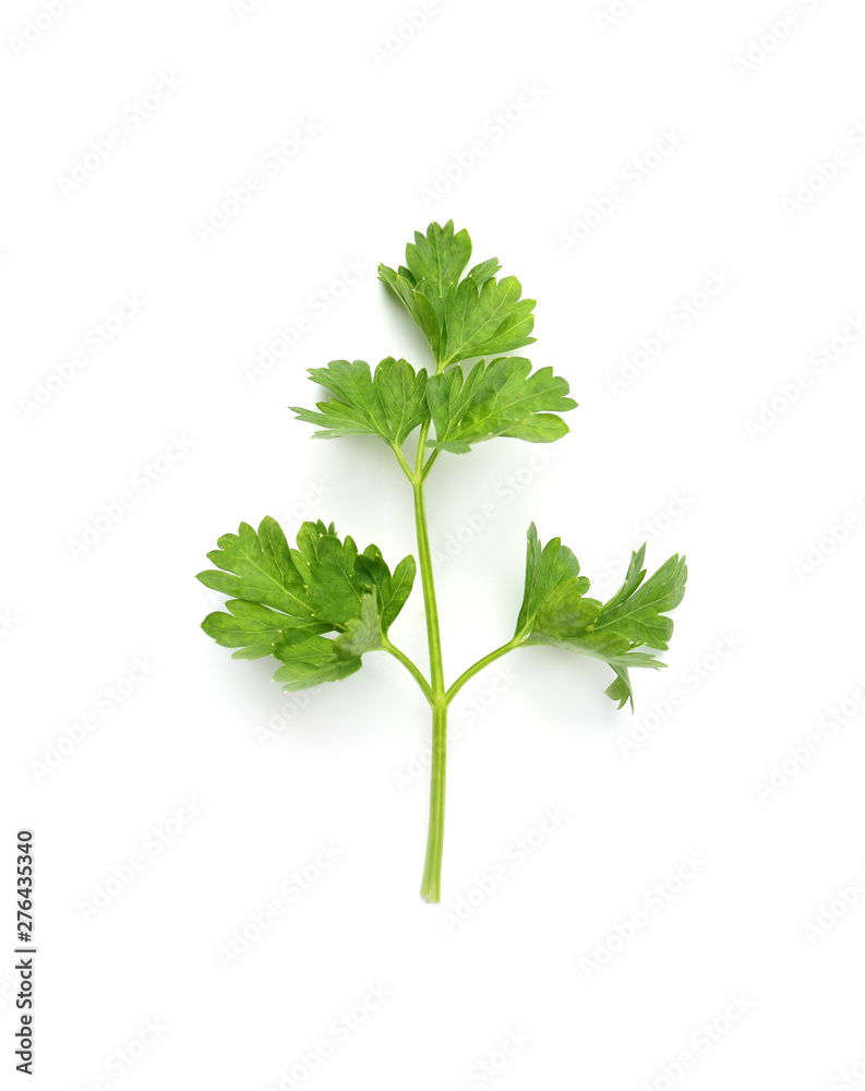 Fresh green organic parsley on white background Fresh green organic parsley on white background
