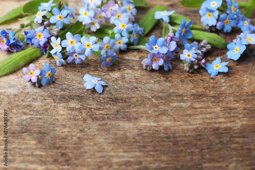 Beautiful forget-me-not flowers on wooden background, space for text