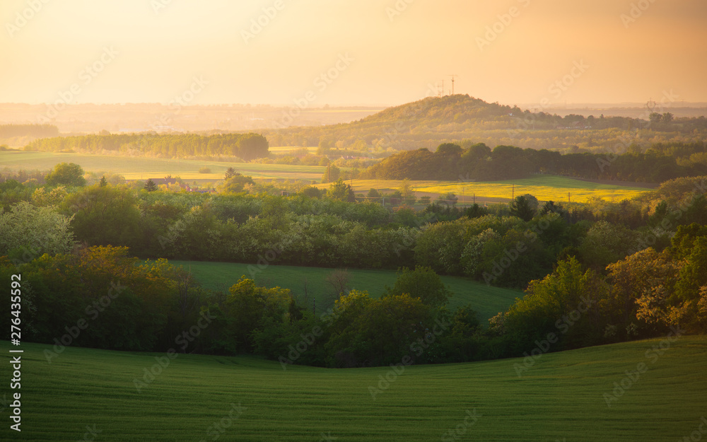 Obraz premium Panorama of the beautiful sunset in Hungary. Green wide meadows with wheat, grass and colorful sunset lights