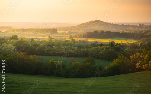 Panorama of the beautiful sunset in Hungary. Green wide meadows with wheat  grass and colorful sunset lights