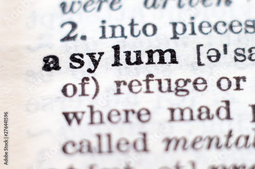 Definition of word asylum