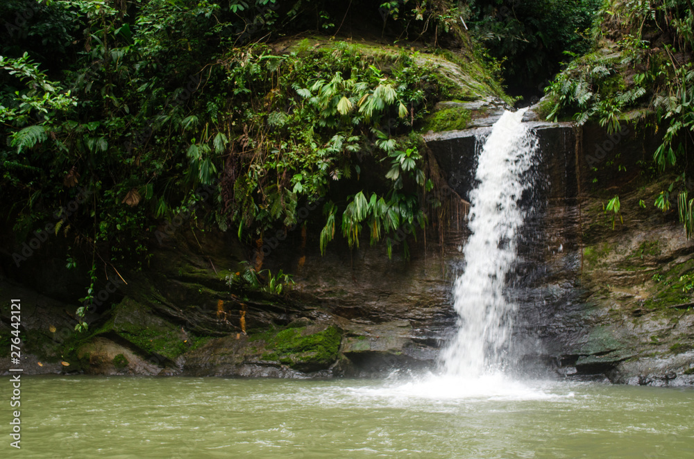 Fototapeta premium jungle water green peru river waterfall travel vacations trip