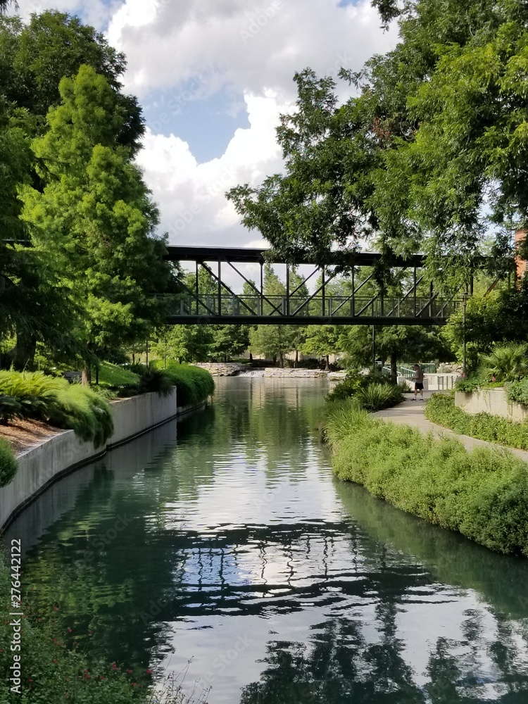 bridge in the park