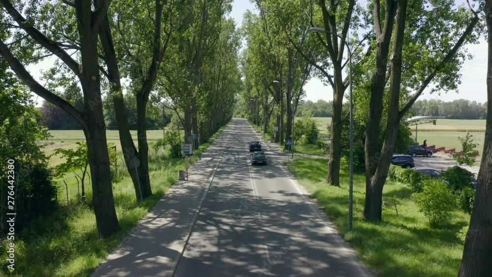 Aerial view. The route passes through the countryside in the length of fields and forests. Highway between the trees in the green tunnel, cars ride between the trees in the countryside. Drone Shot 4K Aerial view. The route passes through the countryside in the length of fields and forests. Highway between the trees in the green tunnel, cars ride between the trees in the countryside. Drone Shot 4K