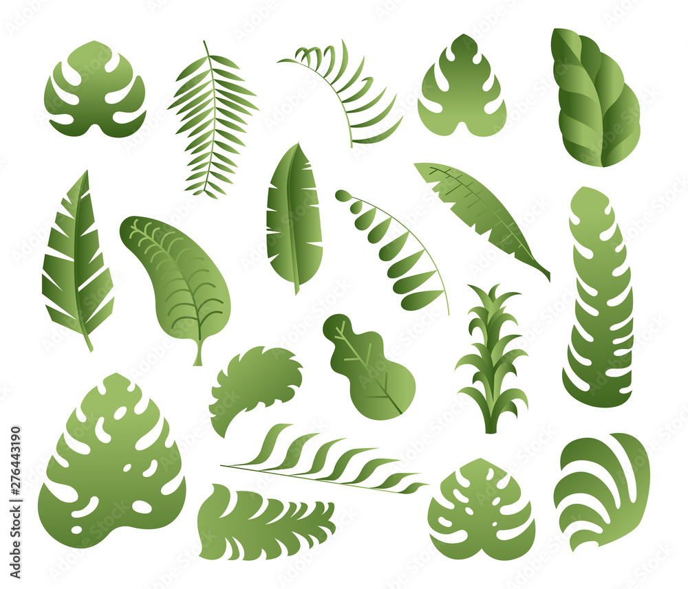 Tropical exotic leaves set Tropical exotic leaves set