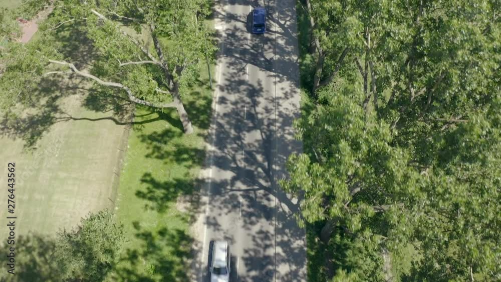 Aerial view of the picturesque road with trees. Trees growing along the highway in the suburbs resemble a tunnel of green branches. 4K Drone Shot. Aerial view of the picturesque road with trees. Trees growing along the highway in the suburbs resemble a tunnel of green branches. 4K Drone Shot.