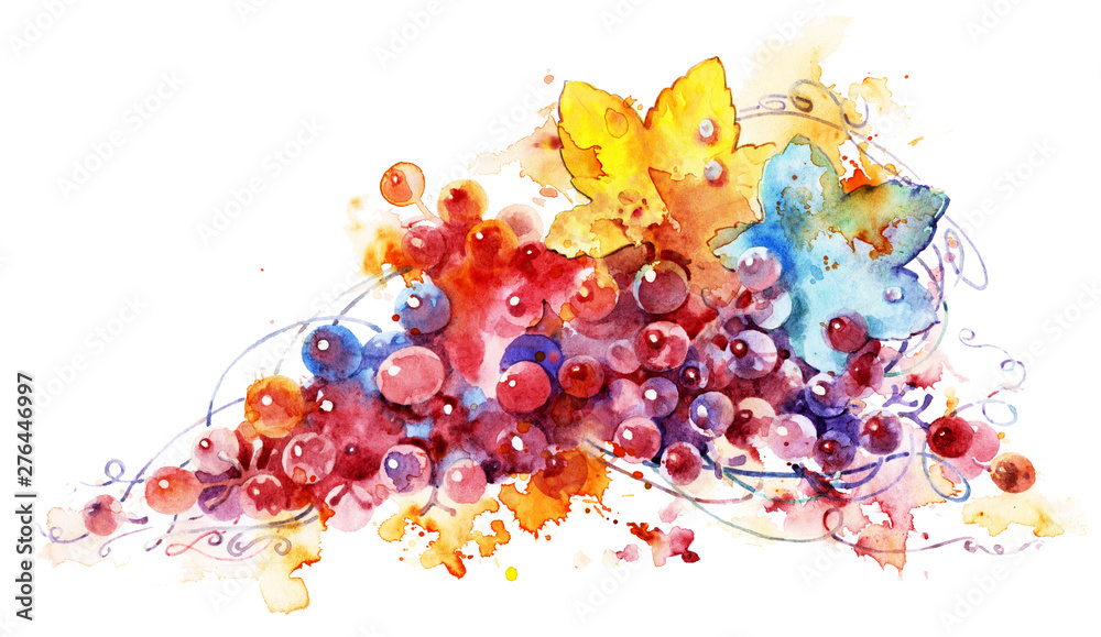 Ripe grapes watercolor painting, beautiful illustration. Expressive painting. Silhouette of a vine branch isolated on a white background - obrazy, fototapety, plakaty 