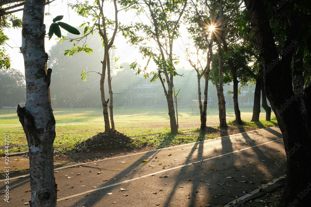 Beautiful nature around the road and landscape scenery background in the morning Beautiful nature around the road and landscape scenery background in the morning