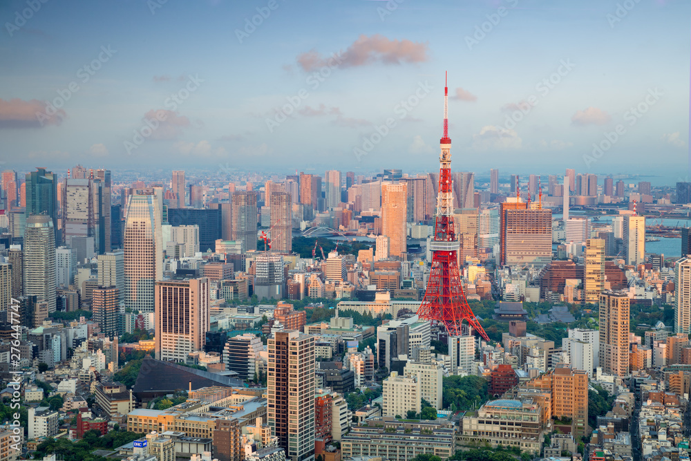 Tokyo city skyline with Tokyo Tower, Tokyo Japan