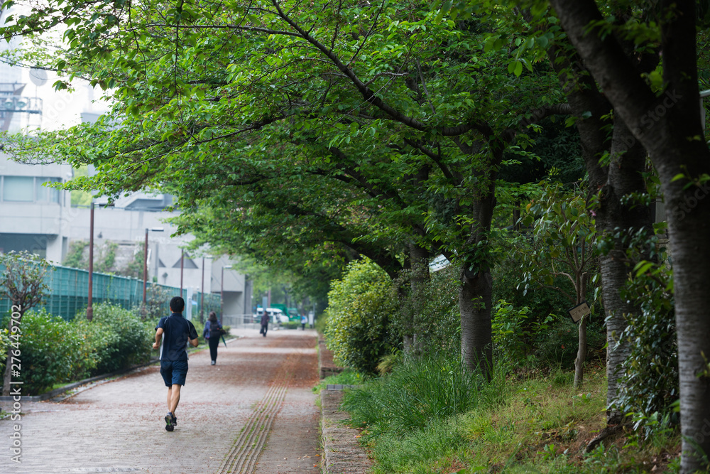 雨の靭公園