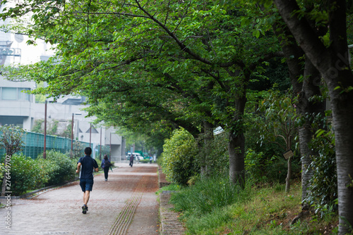 Wallpaper Mural 雨の靭公園 Torontodigital.ca