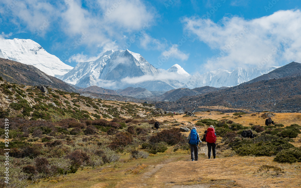 Tourist trekking in Sagarmatha national park with the beautiful view of Island peak (6,819 metres) one of the famous tourist attraction place in Nepal.