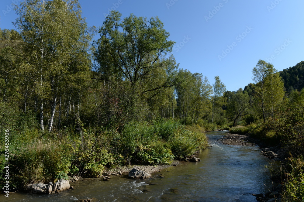 The mountain river Yarovka on the territory of the Altai Territory in Western Siberia. Russia The mountain river Yarovka on the territory of the Altai Territory in Western Siberia. Russia