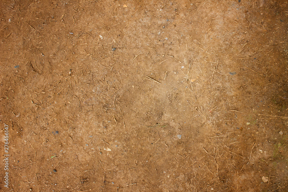 Soil on the ground as texture and background, The structure of the soil close-up. Soil on the ground as texture and background, The structure of the soil close-up.