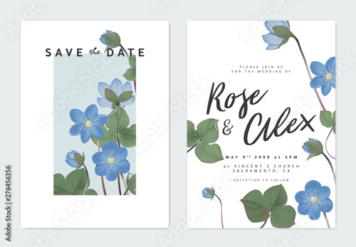 Botanical wedding invitation card template design, blue Hepatica Nobilis flowers in light blue rectangle on white background, pastel vintage theme