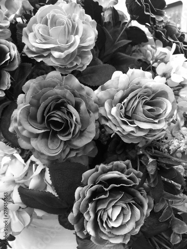 Fake rose flower black and white color for background.