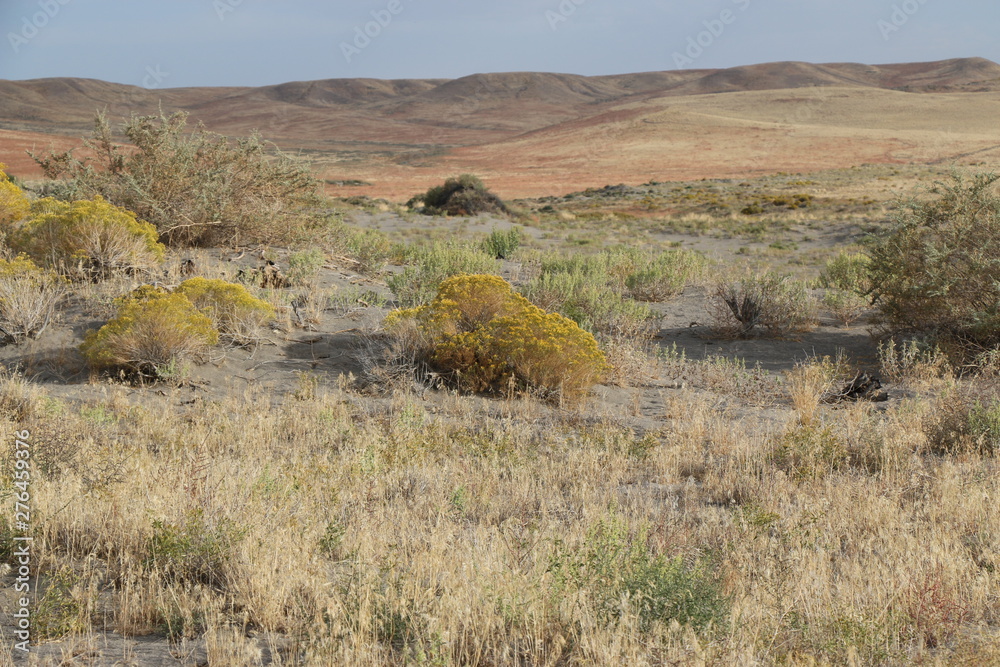 Obraz premium High Planes Desert and Rolling Hills