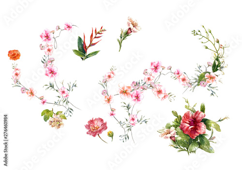 Wallpaper Mural watercolor painting of leaves and flower, on white background Torontodigital.ca