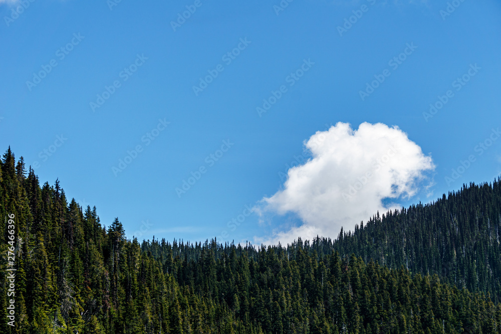 mountains and green forest landscape early morning with blue sky and white cloud. mountains and green forest landscape early morning with blue sky and white cloud.