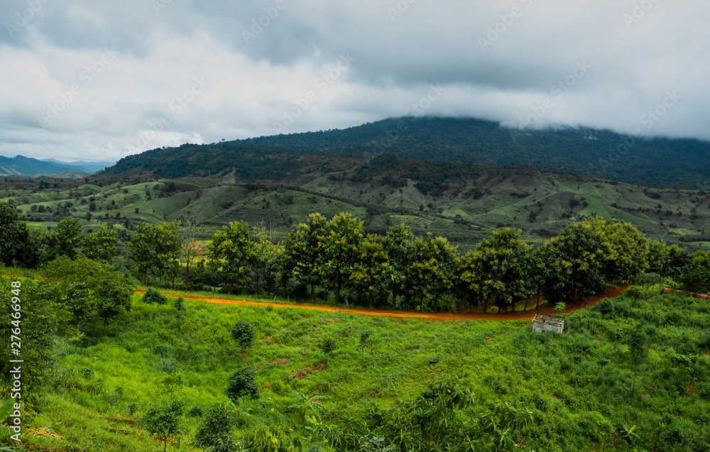 Fototapeta premium landscape with mountains and clouds