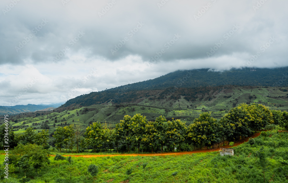 Fototapeta premium landscape with mountains and clouds