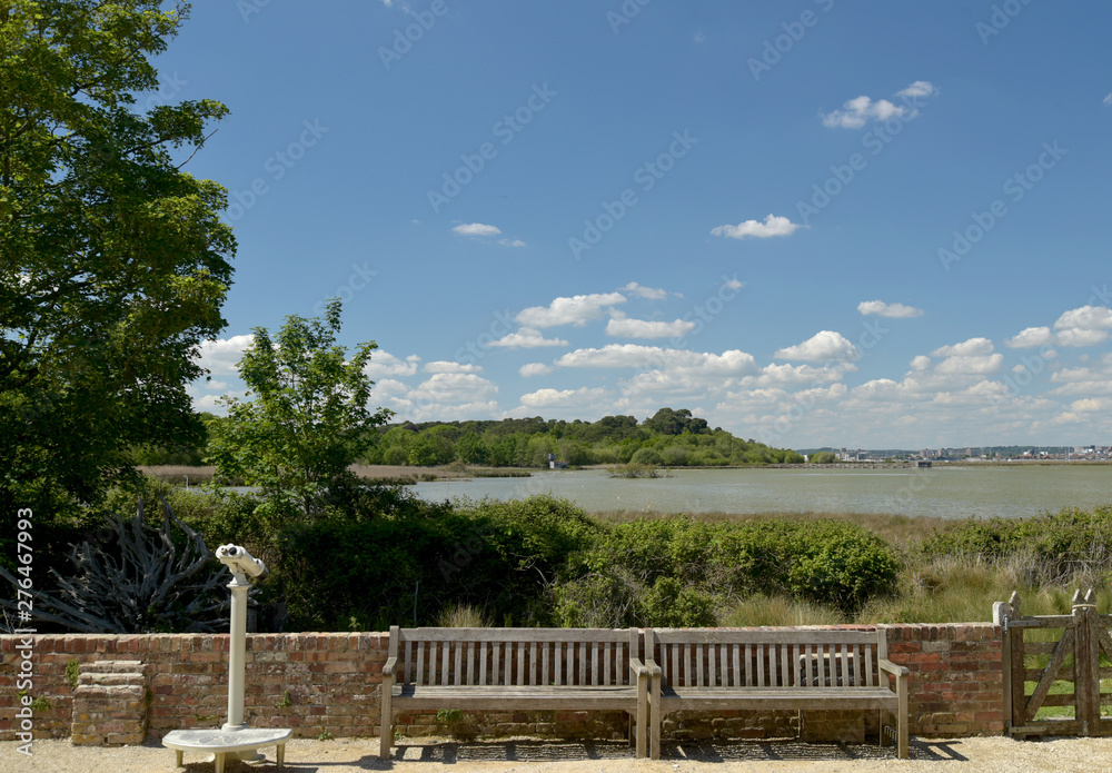 Heathland and tree scenery on Brownsea Island in Poole harbour, Dorset coast