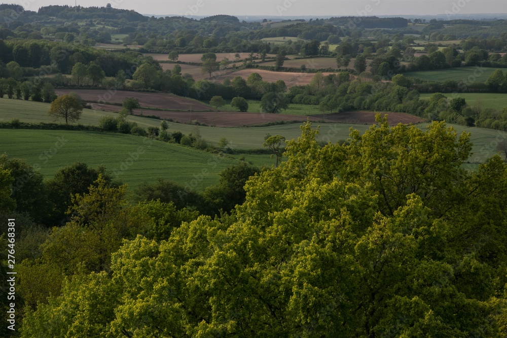 Blick vom Aschberg auf Hügel Land mit Knick Landschaft