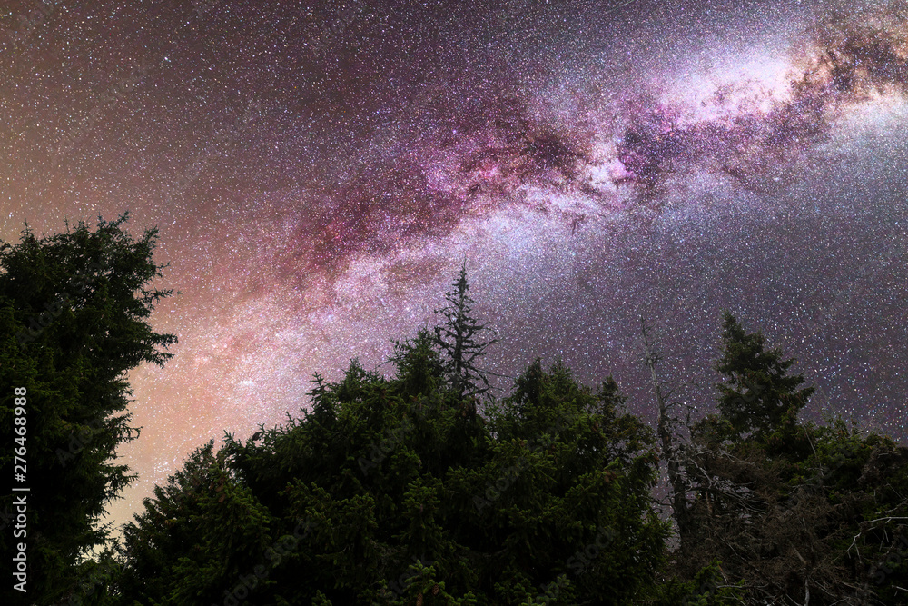 Purple Milky way falling stars pine trees silhouette