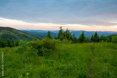 The evening is bright in the mountains in the summer with green forest